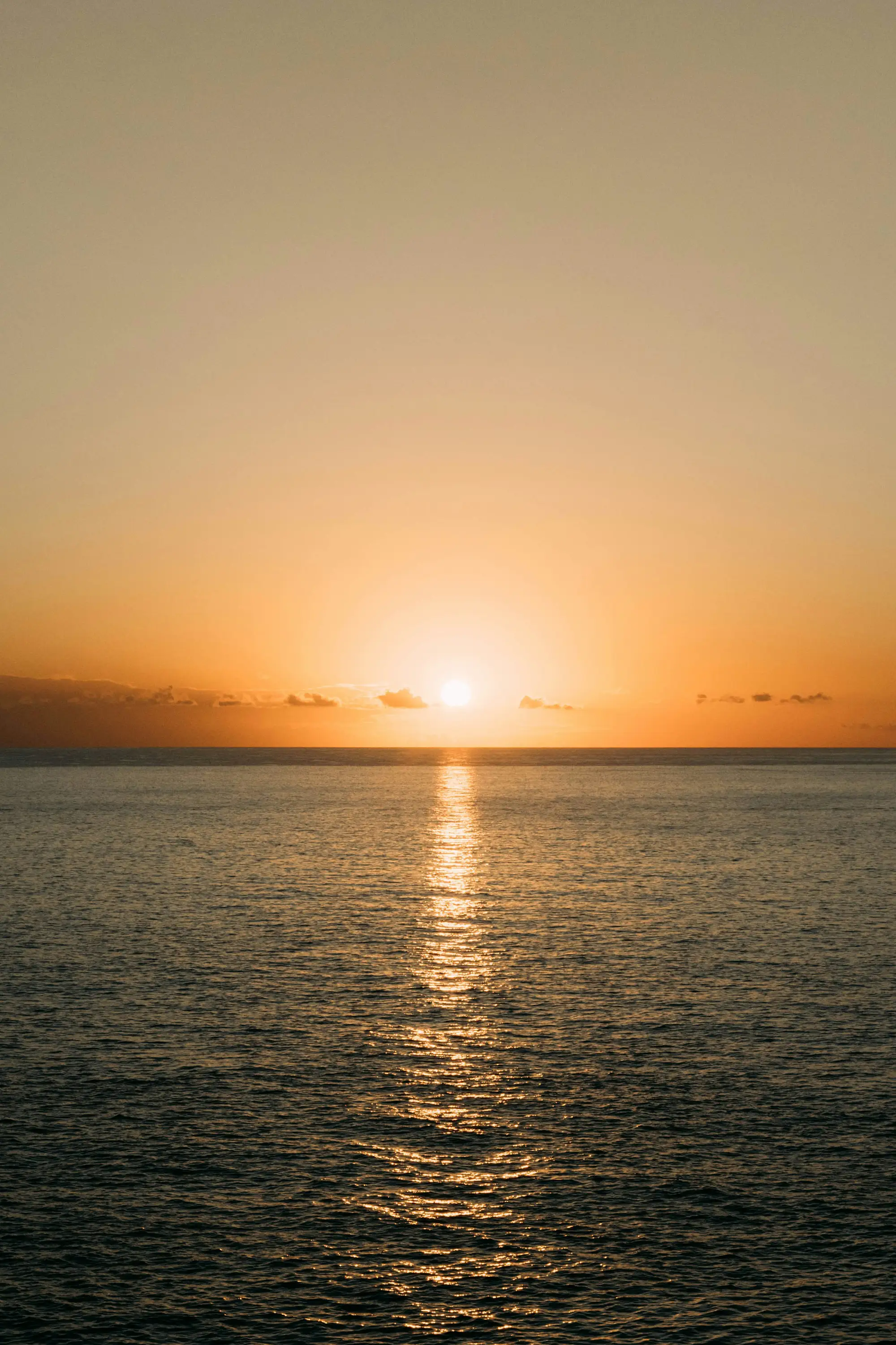 © Doniger Developments Balearics