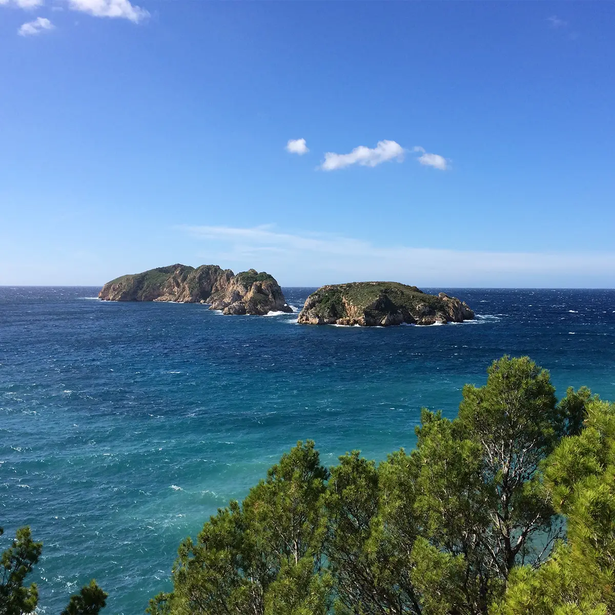 doniger-santa-ponsa-2 doniger-santa-ponsa-2